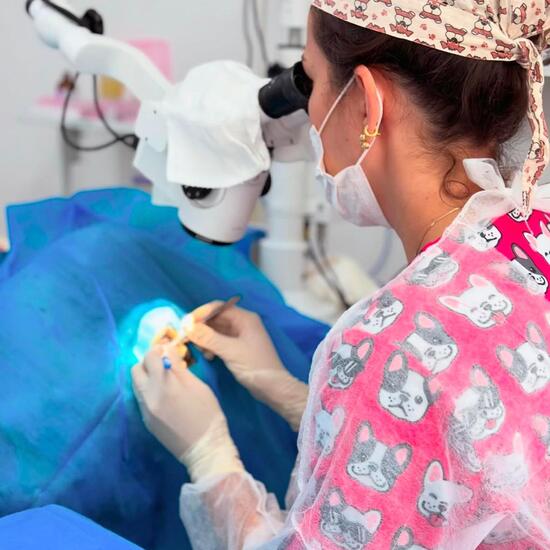 Oftalmologia Veterinária